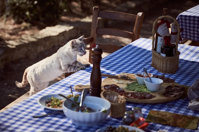 Cat Losing Weight but Eating