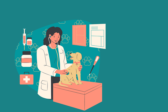 Preventive Veterinary Care and Health Maintenance