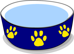 How to Encourage Dogs and Cats to Drink More Water: A Veterinarian’s Practical Guide to Hydration