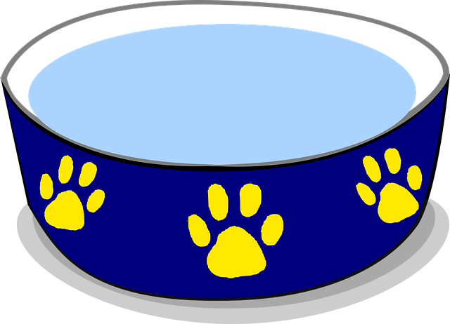 How to Encourage Dogs and Cats to Drink More Water